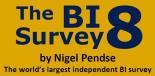 BI Survey 8