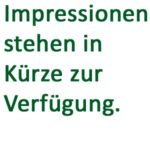 DUMMY_BilderinKürze